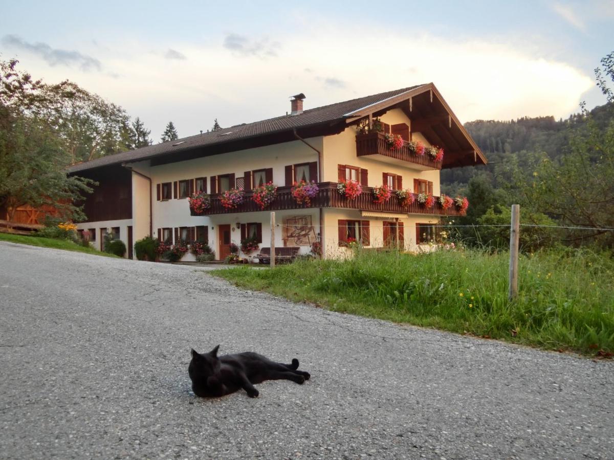 Apartamento Weberhof Samerberg Exterior foto